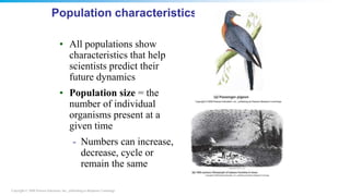 Copyright © 2008 Pearson Education, Inc., publishing as Benjamin Cummings
Population characteristics
• All populations show
characteristics that help
scientists predict their
future dynamics
• Population size = the
number of individual
organisms present at a
given time
- Numbers can increase,
decrease, cycle or
remain the same
 