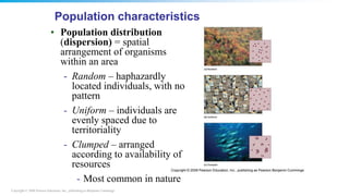 Copyright © 2008 Pearson Education, Inc., publishing as Benjamin Cummings
Population characteristics
• Population distribution
(dispersion) = spatial
arrangement of organisms
within an area
- Random – haphazardly
located individuals, with no
pattern
- Uniform – individuals are
evenly spaced due to
territoriality
- Clumped – arranged
according to availability of
resources
- Most common in nature
 