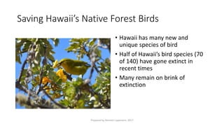Saving Hawaii’s Native Forest Birds
• Hawaii has many new and
unique species of bird
• Half of Hawaii’s bird species (70
of 140) have gone extinct in
recent times
• Many remain on brink of
extinction
Prepared by Kiersten Lippmann, 2017
 
