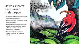 Hawaii’s forest
birds- avian
malaria/pox
• Avian pox and malaria arrived with
introduced mosquitos
• Native fauna not adapted to resist
these pathogens
• Killed off native birds everywhere
except on high mountain slopes,
where it gets too cold for
mosquitoes to survive
• Few native birds exist below
1500m elevation on Hawaii’n
islands
Prepared by Kiersten Lippmann, 2017
 
