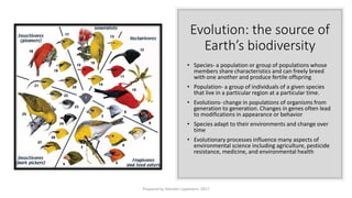 Evolution: the source of
Earth’s biodiversity
• Species- a population or group of populations whose
members share characteristics and can freely breed
with one another and produce fertile offspring
• Population- a group of individuals of a given species
that live in a particular region at a particular time.
• Evolutions- change in populations of organisms from
generation to generation. Changes in genes often lead
to modifications in appearance or behavior
• Species adapt to their environments and change over
time
• Evolutionary processes influence many aspects of
environmental science including agriculture, pesticide
resistance, medicine, and environmental health
Prepared by Kiersten Lippmann, 2017
 