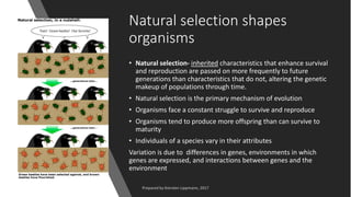 Natural selection shapes
organisms
• Natural selection- inherited characteristics that enhance survival
and reproduction are passed on more frequently to future
generations than characteristics that do not, altering the genetic
makeup of populations through time.
• Natural selection is the primary mechanism of evolution
• Organisms face a constant struggle to survive and reproduce
• Organisms tend to produce more offspring than can survive to
maturity
• Individuals of a species vary in their attributes
Variation is due to differences in genes, environments in which
genes are expressed, and interactions between genes and the
environment
 