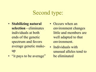 Second type:
• Stabilizing natural
selection - eliminates
individuals at both
ends of the genetic
spectrum and favors
average genetic make-
up
• “it pays to be average”
• Occurs when an
environment changes
little and members are
well adapted to that
environment.
• Individuals with
unusual alleles tend to
be eliminated
 