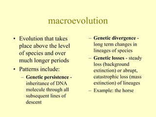 macroevolution
• Evolution that takes
place above the level
of species and over
much longer periods
• Patterns include:
– Genetic persistence -
inheritance of DNA
molecule through all
subsequent lines of
descent
– Genetic divergence -
long term changes in
lineages of species
– Genetic losses - steady
loss (background
extinction) or abrupt,
catastrophic loss (mass
extinction) of lineages
– Example: the horse
 