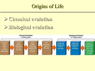 Origins of Life
Chemical evolution
Biological evolution
 