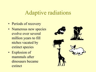 Adaptive radiations
• Periods of recovery
• Numerous new species
evolve over several
million years to fill
niches vacated by
extinct species
• Explosion of
mammals after
dinosaurs became
extinct
 