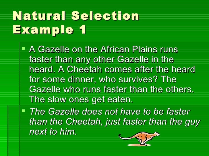 Natural Selection And Reproductive Fitness Natural Selection And Reproductive Fitness