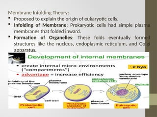 Infloding Evolution chapter # 24.pptx. slides ppt | PPTX