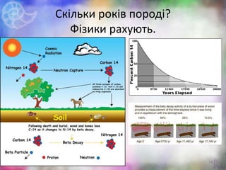 Скільки років породі?
Фізики рахують.
10
 