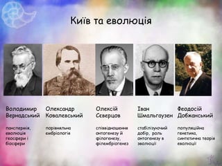 Київ та еволюція
Володимир
Вернадський
панспермія,
еволюція
геосфери і
біосфери
Олексій
Сєверцов
співвідношення
онтогенезу й
філогенезу,
філембріогенез
Іван
Шмальгаузен
стабілізуючий
добір, роль
онтогенезу в
эволюції
Олександр
Ковалевський
порівняльна
ембріологія
Феодосій
Добжанський
популяційна
генетика,
синтетична теорія
еволюції
 