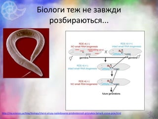 Біологи теж не завжди
розбираються...
http://my.science.ua/blog/biology/chervi-virusy-nasledovanie-priobretennyh-priznakov-lamark-snova-prav.html
 