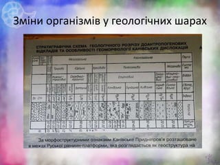Зміни організмів у геологічних шарах
7
 