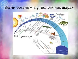 Зміни організмів у геологічних шарах
 