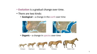 Evolution class 9 gbs.pptx