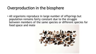 Overproduction in the biosphere
• All organisms reproduce in large number of offsprings but
population remains fairly constant due to the struggle
between members of the same species or different species for
food space and mate
 
