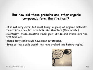 But how did these proteins and other organic
             compounds form the first cell?

•It is not very clear, but most likely, a group of organic molecules
formed into a droplet, or bubble-like structure (Coacervate).
•Eventually, these droplets would grow, divide and evolve into the
first true cell.
•These early cells would have been autotrophs.
•Some of these cells would then have evolved into heterotrophs.




 Autora: Marta García T.                                           25
 