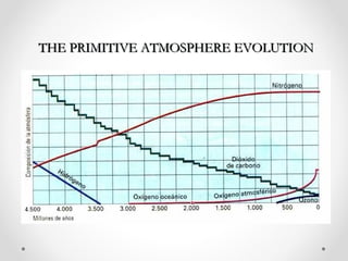 THE PRIMITIVE ATMOSPHERE EVOLUTION
 