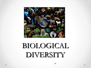 BIOLOGICAL
 DIVERSITY
      34
 