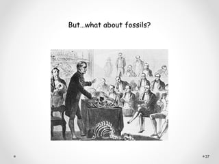 But…what about fossils?




                          37
 