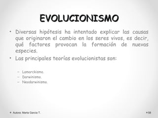 EVOLUCIONISMO
• Diversas hipótesis ha intentado explicar las causas
  que originaron el cambio en los seres vivos, es decir,
  qué factores provocan la formación de nuevas
  especies.
• Las principales teorías evolucionistas son:

    – Lamarckismo.
    – Darwinismo.
    – Neodarwinismo.




 Autora: Marta García T.                               58
 