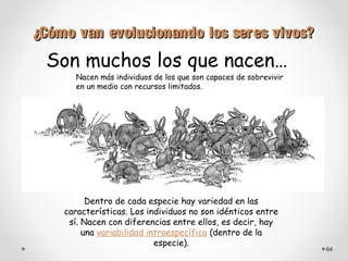 ¿Cómo van evolucionando los ser es vivos?
 Son muchos los que nacen…
       Nacen más individuos de los que son capaces de sobrevivir
       en un medio con recursos limitados.




          Dentro de cada especie hay variedad en las
    características. Los individuos no son idénticos entre
     sí. Nacen con diferencias entre ellos, es decir, hay
         una variabilidad intraespecífica (dentro de la
                            especie).
                                                                   64
 