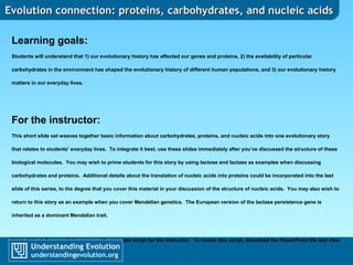 Evolution connection: proteins, carbohydrates, and nucleic acidsEvolution connection: proteins, carbohydrates, and nucleic acids
Learning goals:
Students will understand that 1) our evolutionary history has affected our genes and proteins, 2) the availability of particular
carbohydrates in the environment has shaped the evolutionary history of different human populations, and 3) our evolutionary history
matters in our everyday lives.
For the instructor:
This short slide set weaves together basic information about carbohydrates, proteins, and nucleic acids into one evolutionary story
that relates to students’ everyday lives. To integrate it best, use these slides immediately after you’ve discussed the structure of these
biological molecules. You may wish to prime students for this story by using lactose and lactase as examples when discussing
carbohydrates and proteins. Additional details about the translation of nucleic acids into proteins could be incorporated into the last
slide of this series, to the degree that you cover this material in your discussion of the structure of nucleic acids. You may also wish to
return to this story as an example when you cover Mendelian genetics. The European version of the lactase persistence gene is
inherited as a dominant Mendelian trait.
Each of the following slides comes with a sample script for the instructor. To review this script, download the PowerPoint file and view
the Notes associated with each slide.
 