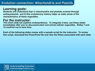 Evolution connection: Mitochondria and Plastids
Learning goals:
Students will understand that 1) mitochondria and plastids evolved through
endosymbiosis, and 2) this evolutionary history helps us make sense of the
characteristics of these organelles.
For the instructor:
This short slide set explains endosymbiosis. To integrate it best, use these slides
immediately after you’ve discussed plant and animal cellular organelles. Slides 7 and
14 could be cut to save time.
Each of the following slides comes with a sample script for the instructor. To review
this script, download the PowerPoint file and view the Notes associated with each slide.
 
