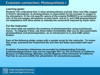 Evolution connection: Photosynthesis I
Learning goals:
Students will understand that 1) when photosynthesis evolved, there was little oxygen
in Earth’s atmosphere, 2) photosynthesis is responsible for the increase in oxygen in
the atmosphere, 3) the non-specific nature of the enzyme RUBISCO is an evolutionary
relic of the low-oxygen atmosphere of early Earth, and 4) C4 and CAM photosynthesis
are adaptations that allow plants to sidestep the constraints imposed by these relics.
For the instructor:
This short slide set explains the existence of photorespiration using evolutionary
theory. To integrate it best, use these slides immediately after you’ve discussed basic
photosynthesis and photorespiration, as an introduction to C4 and CAM carbon
fixation.
Each of the following slides comes with a sample script for the instructor. To review
this script, download the PowerPoint file and view the Notes associated with each
slide.
Evolution Connection slideshows are provided by Understanding Evolution
(understandingevolution.org) and are copyright 2011 by The University of California
Museum of Paleontology, Berkeley, and the Regents of the University of California.
Feel free to use and modify this presentation for educational purposes.
 