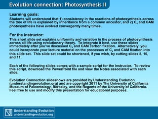 Evolution connection: Photosynthesis IIEvolution connection: Photosynthesis II
Learning goals:
Students will understand that 1) consistency in the reactions of photosynthesis across
the tree of life is explained by inheritance from a common ancestor, and 2) C4 and CAM
photosynthesis have evolved convergently many times.
For the instructor:
This short slide set explains uniformity and variation in the process of photosynthesis
across all life using evolutionary theory. To integrate it best, use these slides
immediately after you’ve discussed C4 and CAM carbon fixation. Alternatively, you
could incorporate your lecture material on the processes of C4 and CAM fixation into
this slide set. This slide set could be shortened, if you wish, by cutting slides 8, 10,
and 11.
Each of the following slides comes with a sample script for the instructor. To review
this script, download the PowerPoint file and view the Notes associated with each
slide.
Evolution Connection slideshows are provided by Understanding Evolution
(understandingevolution.org) and are copyright 2011 by The University of California
Museum of Paleontology, Berkeley, and the Regents of the University of California.
Feel free to use and modify this presentation for educational purposes.
 