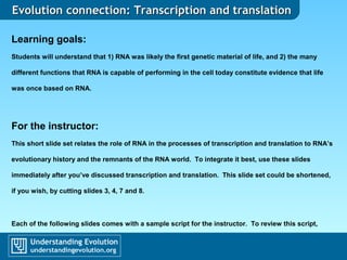 Evolution connection: Transcription and translationEvolution connection: Transcription and translation
Learning goals:
Students will understand that 1) RNA was likely the first genetic material of life, and 2) the many
different functions that RNA is capable of performing in the cell today constitute evidence that life
was once based on RNA.
For the instructor:
This short slide set relates the role of RNA in the processes of transcription and translation to RNA’s
evolutionary history and the remnants of the RNA world. To integrate it best, use these slides
immediately after you’ve discussed transcription and translation. This slide set could be shortened,
if you wish, by cutting slides 3, 4, 7 and 8.
Each of the following slides comes with a sample script for the instructor. To review this script,
download the PowerPoint file and view the Notes associated with each slide.
 