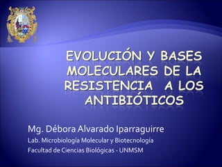 Mg. Débora Alvarado Iparraguirre
Lab. Microbiología Molecular y Biotecnología
Facultad de Ciencias Biológicas - UNMSM
 