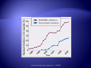 Lab Microb Molecular y Biotecnol - UNMSM
 