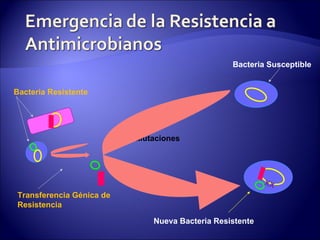 Bacteria Susceptible


Bacteria Resistente




                          Mutaciones




                                                          XX
Transferencia Génica de
Resistencia

                              Nueva Bacteria Resistente
 