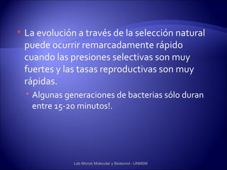    La evolución a través de la selección natural
    puede ocurrir remarcadamente rápido
    cuando las presiones selectivas son muy
    fuertes y las tasas reproductivas son muy
    rápidas.
     Algunas generaciones de bacterias sólo duran
      entre 15-20 minutos!.




                Lab Microb Molecular y Biotecnol - UNMSM
 