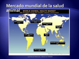 Lab Microb Molecular y Biotecnol UNMSM
 
