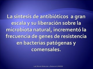 Lab Microb Molecular y Biotecnol UNMSM
 