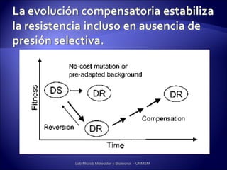 Lab Microb Molecular y Biotecnol - UNMSM
 
