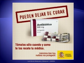 Lab Microb Molecular y Biotecnol - UNMSM
 