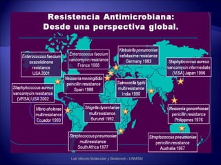 Lab Microb Molecular y Biotecnol - UNMSM
 