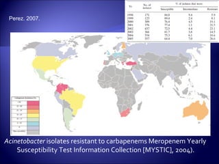 Perez. 2007.




Acinetobacter isolates resistant to carbapenems Meropenem Yearly
    Susceptibility Test Information Collection [MYSTIC], 2004).
 