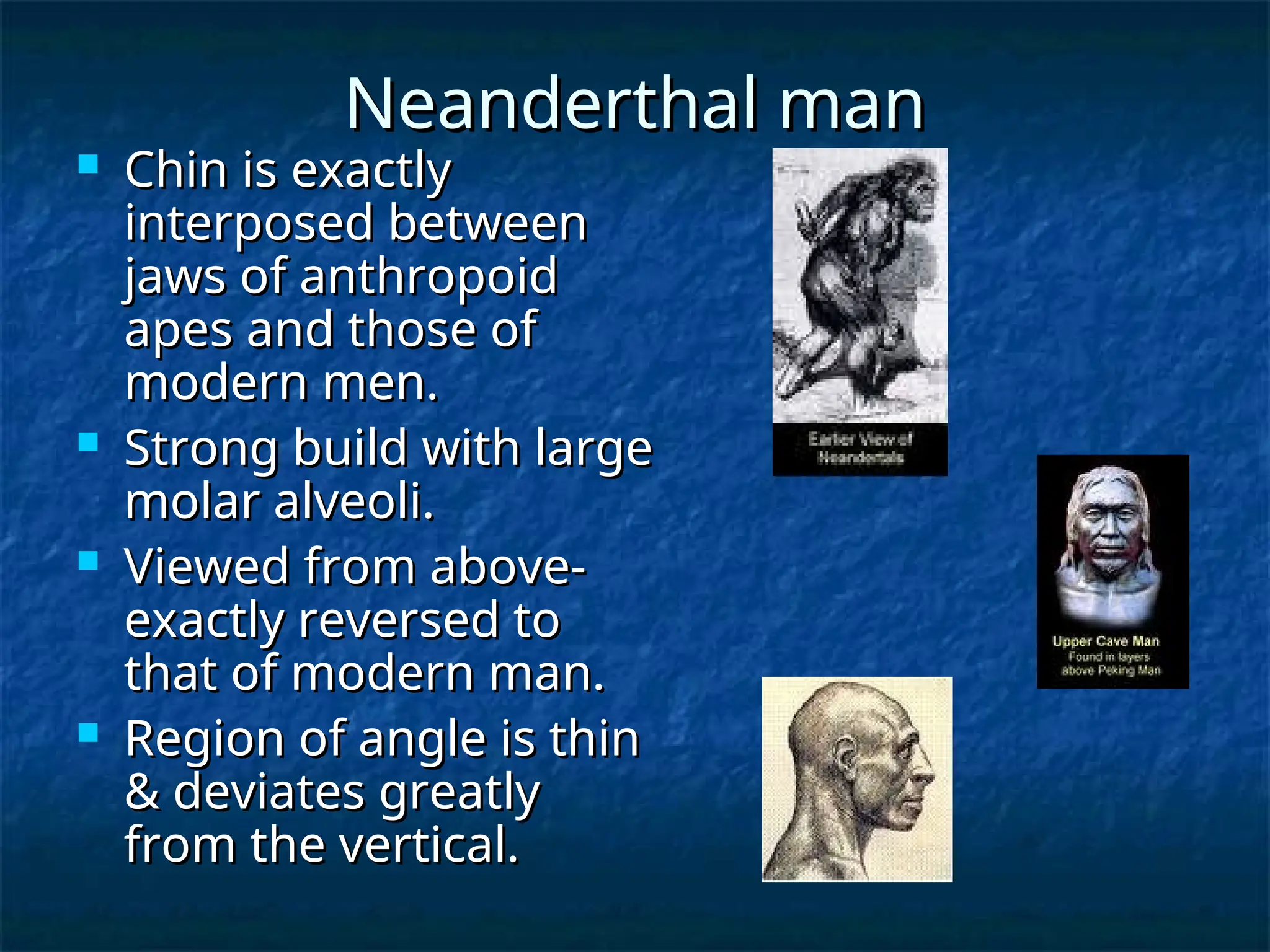 Neanderthal man
Neanderthal man
 Chin is exactly
Chin is exactly
interposed between
interposed between
jaws of anthropoid
jaws of anthropoid
apes and those of
apes and those of
modern men.
modern men.
 Strong build with large
Strong build with large
molar alveoli.
molar alveoli.
 Viewed from above-
Viewed from above-
exactly reversed to
exactly reversed to
that of modern man.
that of modern man.
 Region of angle is thin
Region of angle is thin
& deviates greatly
& deviates greatly
from the vertical.
from the vertical.
 