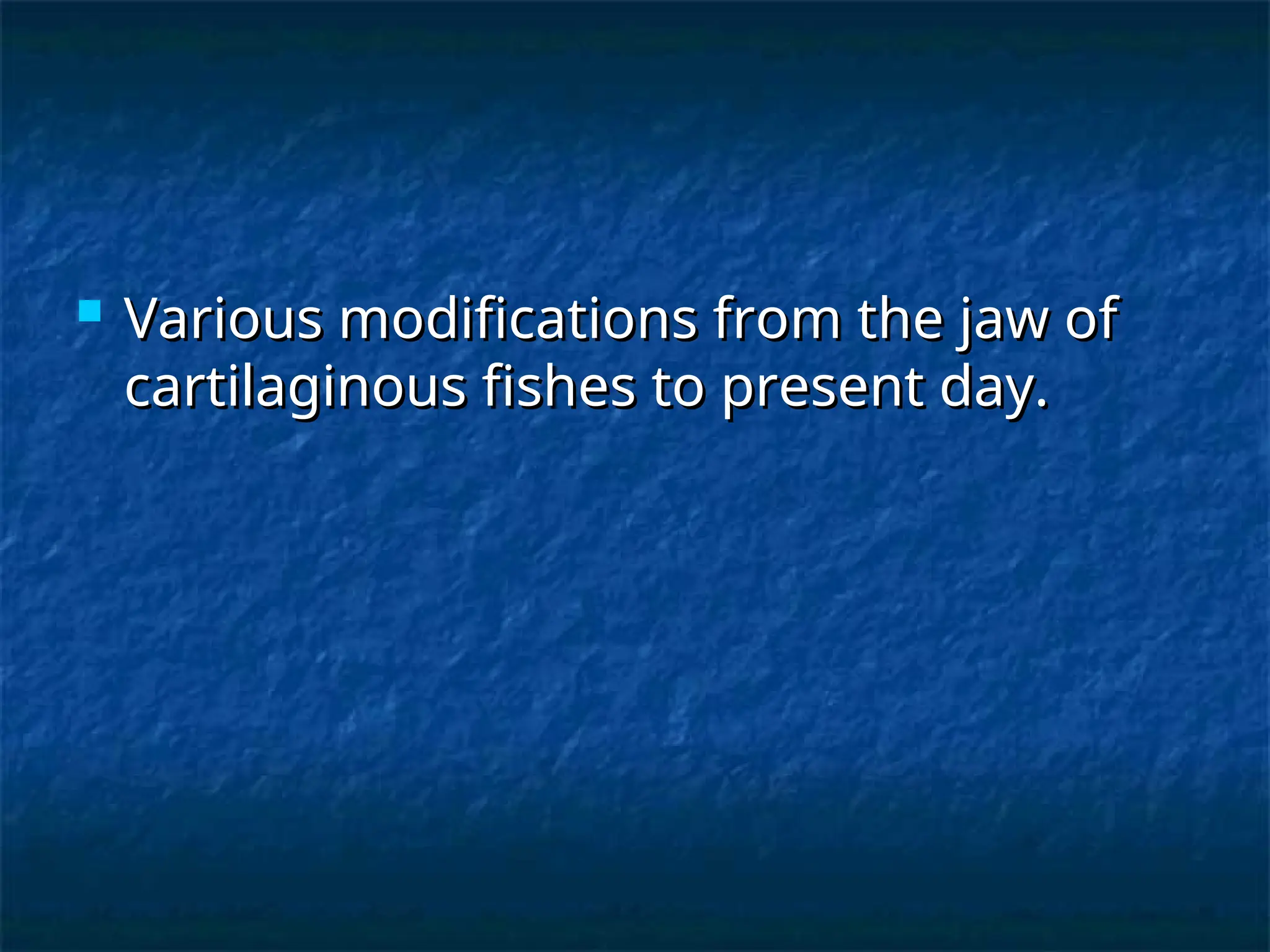  Various modifications from the jaw of
Various modifications from the jaw of
cartilaginous fishes to present day.
cartilaginous fishes to present day.
 
