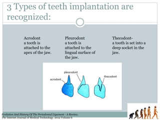 Evolution & development of periodontium 22.08.14