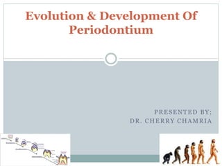 PRESENTED BY;
DR. CHERRY CHAMRIA
Evolution & Development Of
Periodontium
 