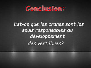 Est-ce que les cranes sont les
seuls responsables du
développement
des vertèbres?
 