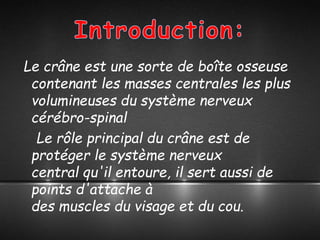 Le crâne est une sorte de boîte osseuse
contenant les masses centrales les plus
volumineuses du système nerveux
cérébro-spinal
Le rôle principal du crâne est de
protéger le système nerveux
central qu'il entoure, il sert aussi de
points d'attache à
des muscles du visage et du cou.
 