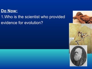 Do Now:
1.Who is the scientist who provided
evidence for evolution?

 