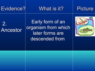 Evidence?

What is it?

Early form of an
2.
organism from which
Ancestor
later forms are
descended from

Picture

 