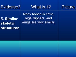 Evidence?
5. Similar
skeletal
structures

What is it?
Many bones in arms,
legs, flippers, and
wings are very similar.

Picture

 