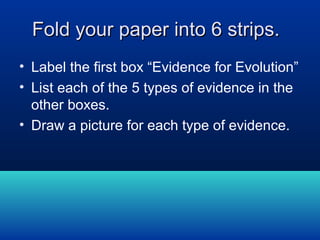Fold your paper into 6 strips.
• Label the first box “Evidence for Evolution”
• List each of the 5 types of evidence in the
other boxes.
• Draw a picture for each type of evidence.

 